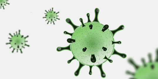 Coronavirus piemonte