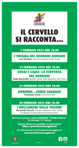 17x33 IL CERVELLO
