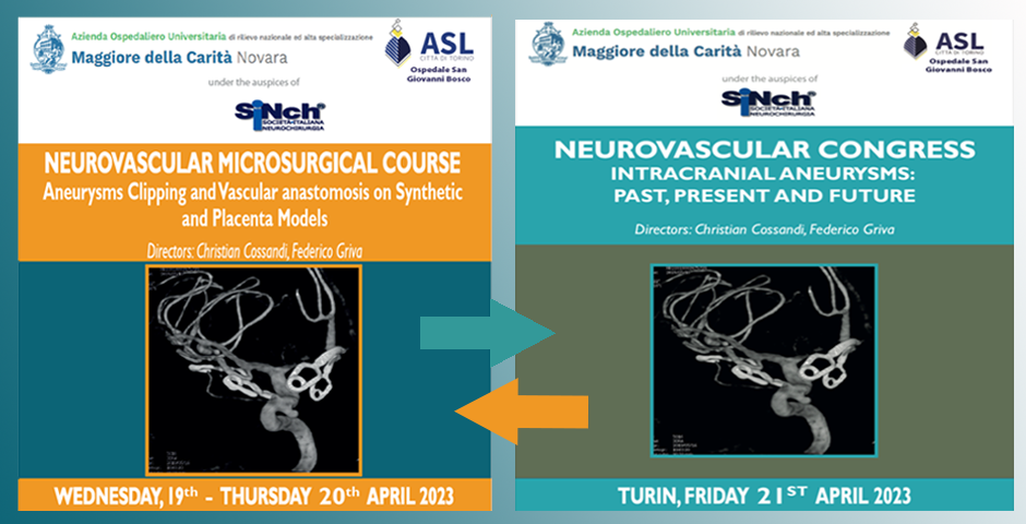 Immagine congresso di neurochirurgia1