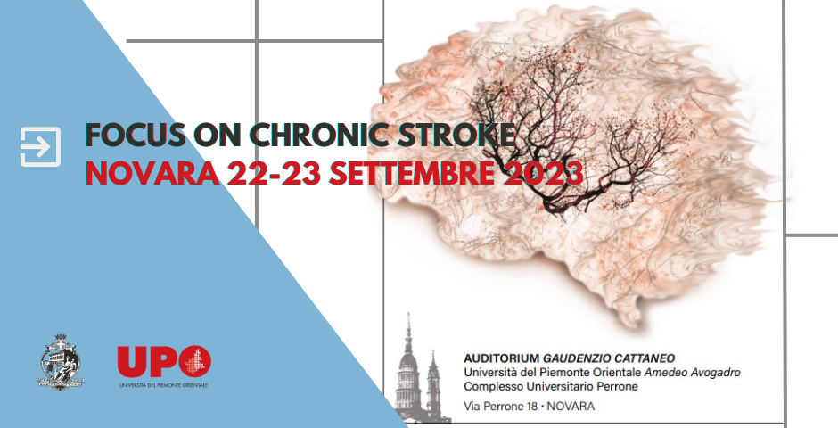 BANNER FOCUS ON CHRONIC STROKE