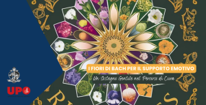 Immagine in evidenza articolo