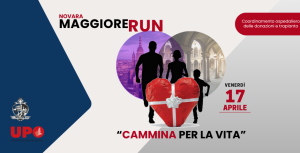 Immagine in evidenza articolo