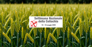 Immagine in evidenza articolo
